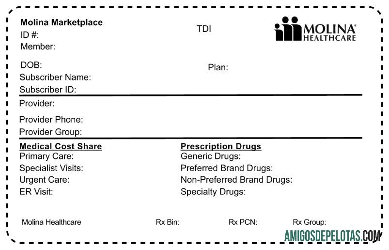 Cartão de seguro saúde Molina HealthCare dos EUA modelo